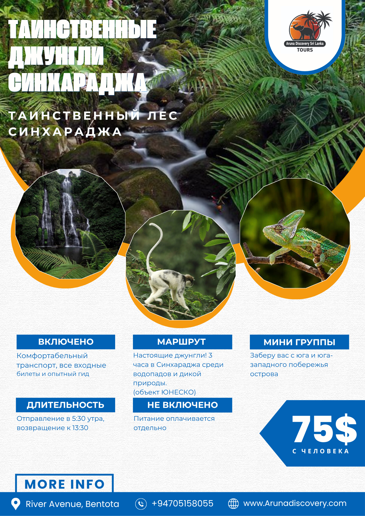 Sinharaja Mysterious Forest  Таинственный лес Синхараджа