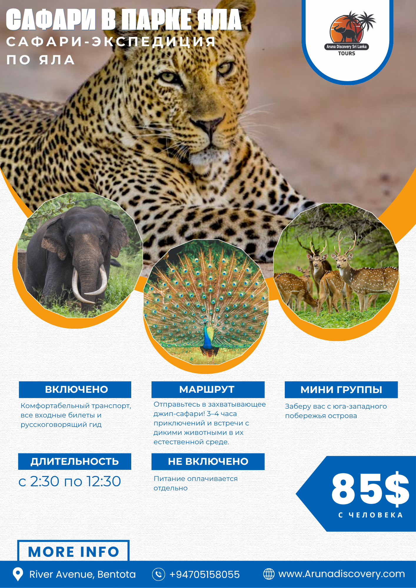 Yala Safari Tour